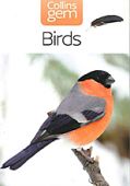Birds Gem 