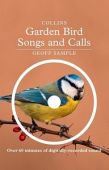 Garden Bird Songs and Calls