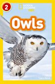 Kids: Owls