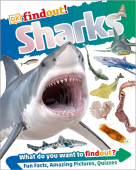 Sharks DK Findout!