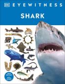 Eyewitness Shark