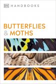 Handbook Butterflies & Moths