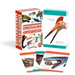 Dinosaurs & Other Prehistoric Creatures Flash Cards