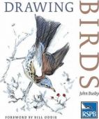 RSPB Drawing Birds