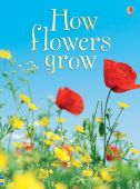 Beginners How Flowers Grow
