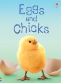 Beginners Eggs and Chicks HB