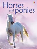 Beginners Horses and Ponies HB