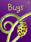 Beginners Bugs HB