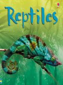 Beginners Reptiles HB