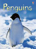 Beginners Penguins HB 