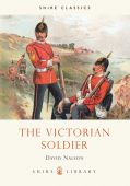 Victorian Soldier
