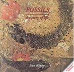 Fossils - The Story of Life