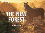 Spirit of The New Forest