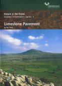Limestone Pavement