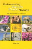 Understanding Welsh Place Names