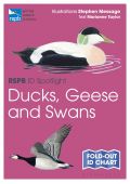 RSPB ID Spotlight Ducks, Geese & Swans
