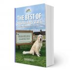 The Best of Dog Friendly Stays