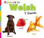 Colours in Welsh Y Lliwiau 