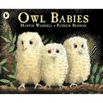 Owl Babies 