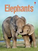 Beginners Elephants HB