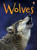 Beginners Wolves