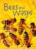 Beginners Bees and Wasps HB 