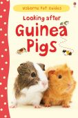 Pet Guide Looking after Guinea Pigs