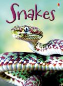 Beginners Snakes HB