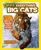 Everything Big Cats