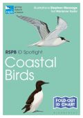 RSPB ID Spotlight Coastal Birds