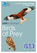 RSPB ID Spotlight Birds of Prey