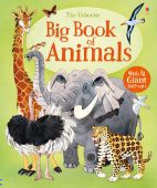 Big Book of Big Animals HB