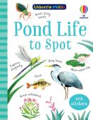 Pond Life to Spot Minis