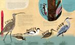 A Wild Child's Book of Birds