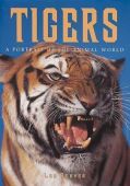 Tigers (A3 size)