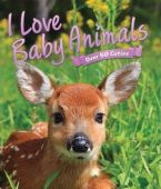 I Love: Baby Animals