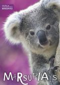 Marsupials HB 