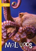 Molluscs HB