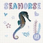 Seahorse Life Cycles
