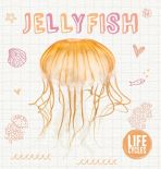 Jellyfish Life Cycles