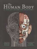 The Human Body: A Pop-up Guide to Anatomy