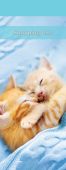 Cute Kittens Shopping List SL009