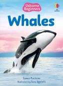 Beginners Whales HB 