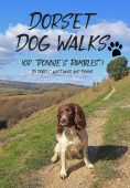 Dorset Dog Walks