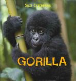 Eye on the Wild Gorilla