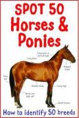 Spot 50 Horses and Ponies