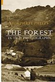 Forest Of Dean In Old Photos