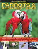 Exploring Nature Parrots and Rainforest Birds
