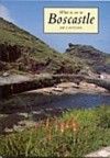 What to see in Boscastle