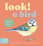 Look! A Bird